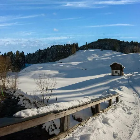 Leni S Mountain Near Ski Area * Dienten am Hochkoenig