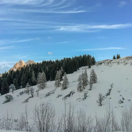 Leni S Mountain Near Ski Area *