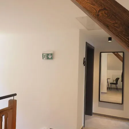 Apartment Leni S Mountain Near Ski Area *